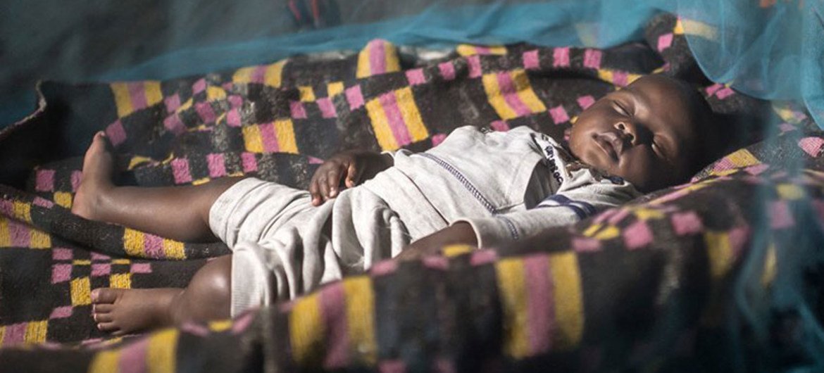 Plus de 50% des personnes menacées par le paludisme en Afrique dorment maintenant sous des moustiquaires imprégnées d'insecticide. Photo OMS