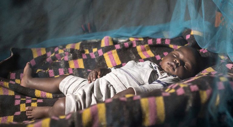 Más de un 50 por ciento de las personas en riesgo de contraer malaria en África ahora duermen bajo mosquiteras tratadas con insecticida. 