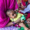 Una enfermera vacuna contra la polio a niños y mujeres embarazadas en Uttar Pradesh, India. Foto: UNICEF/Prashanth Vishwanathan