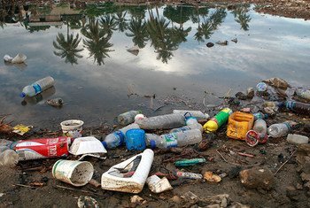 Plastic bottles and garbage waste from a nearby village wash on the shores of a river and then spill into the sea.