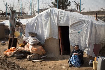 An elderly woman sits outside her makeshift dwelling in Afghanistan.