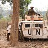 Peacekeepers with the United Nations Multidimensional Integrated Stabilization Mission in the Central African Republic (MINUSCA) on patrol in Bambari.