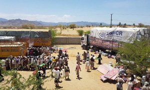 UNHCR assistance is distributed for more than 6,200 individuals in Taizz’s embattled district of Mokha, one of the worst affected areas in the Yemeni governorate.