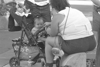 Un bébé assis dans une poussette est nourri par sa mère dans le parc d'attractions Disney World à Orlando, en Floride (1997). Photo UNICEF/Toutounji