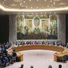 Совет Безопасности ООН. Фото ООН/Эскиндер Дебебе