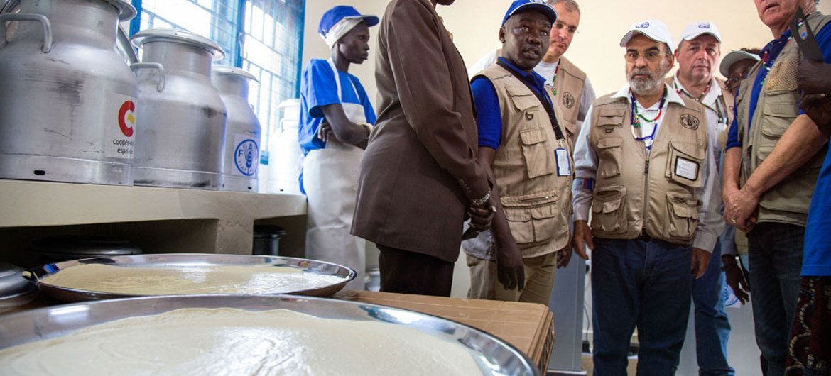 FAO Director-General José Graziano da Silva (centre) and WFP Executive Director David Beasley (right) at the Rumbek milk processing plant in South Sudan.