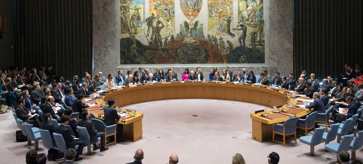 El Consejo de Seguridad de las Naciones Unidas.