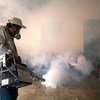 An exterminator fumigates a house in Panama City, Panama, to control mosquito population. PAHO/WHO Photo