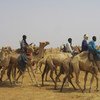 Tuareg refugees ride camels to the desert area of Initkan, Niger, where they received UNHCR assistance.