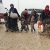 Internally displaced Iraqi families trudge through mud and rain to arrive at Hammam al-Alil after fleeing fighting in Mosul.