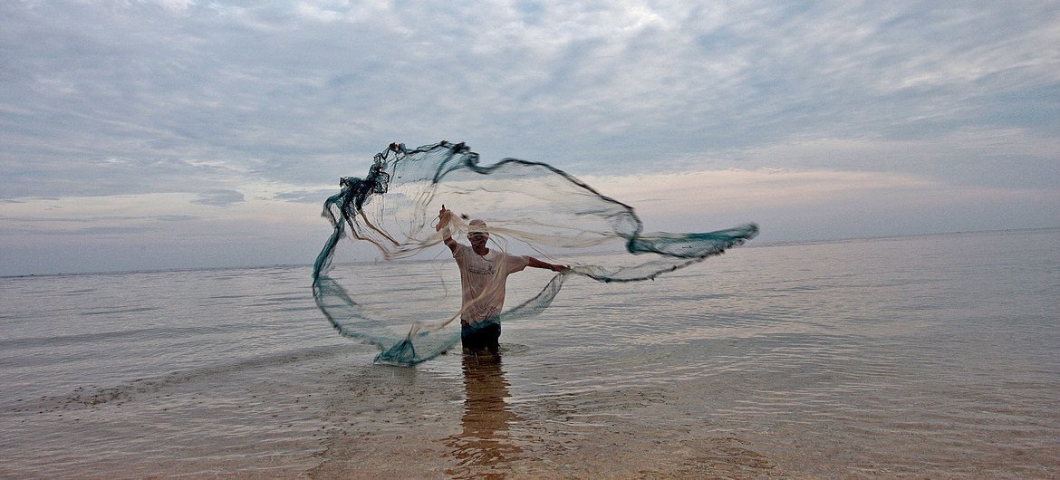 Un pescador de Timor Leste lanza la red para atrapar peces. Foto: ONU/ Martine Perret