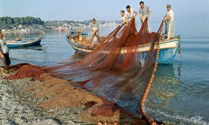 Fishermen at work in Evia, Greece (January 1973).