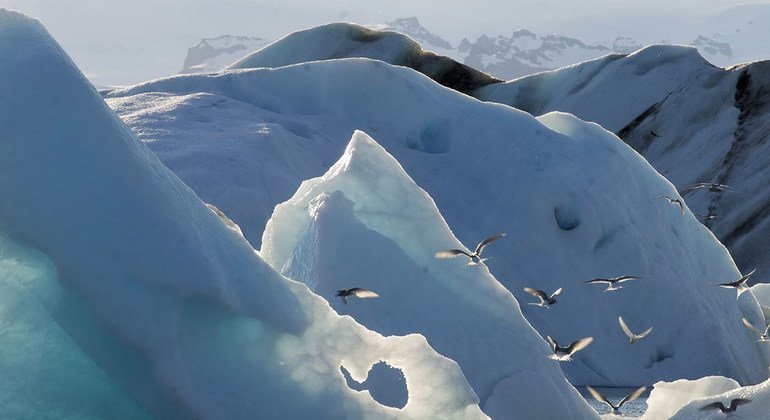 Привлечь внимание к проблеме таяния льдов призван проект ЮНЕП «Последняя игра»