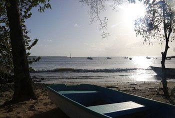 قوارب في خليج بوكو، في توباغو.