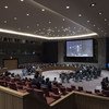 مجلس الأمن يقرر بالإجماع تجديد ولاية قوة الأمم المتحدة لمراقبة فض الاشتباك لستة أشهر