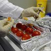 A researcher tests tomatoes at the IAEA’s Food and Environmental Laboratory in Seibersdorf, Austria.