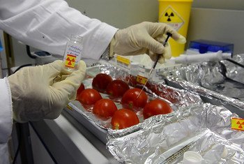 国际原子能机构位于奥地利杜塞尔多夫的食品和环境实验室。