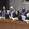 Maria Luiza Ribeiro Viotti (centre), Chef de Cabinet to the Secretary-General, addresses the Security Council meeting on options for authorization and support for African Union peace support operations
