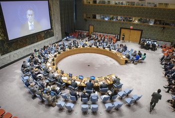 Wide view of the Security Council meeting on the situation in the Middle East, including the Palestinian question. Nickolay Mladenov (shown on screen), UN Special Coordinator for the Middle East Peace Process, briefs the Council via video conference.