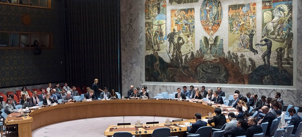 Security Council meeting on 30 June 2017.