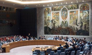 Security Council meeting on 30 June 2017.