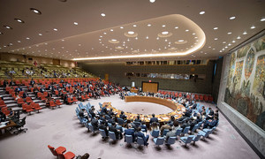 Совет Безопасности ООН. Фото ООН/Мануэль Элиас