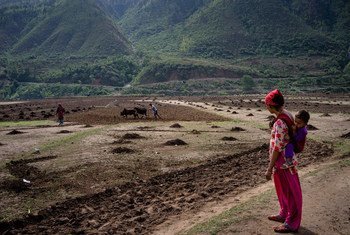 A woman, with her child on her back, looks to her husband who ploughs the field in rural Salyan district, in western Nepal.