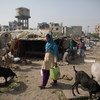 Состояние бедных районов многих индийских городов плачевно, но правительство решительно настроено добиться улучшения жизни своих горожан