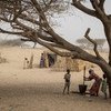 Des personnes déplacées au Tchad.