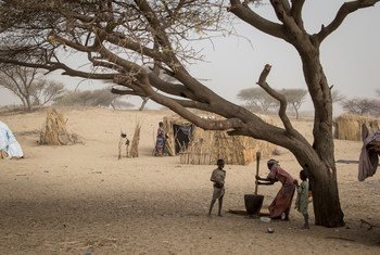Des personnes déplacées au Tchad.