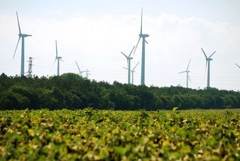 A wind farm near Kavarna, Bulgaria.