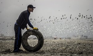 First prize winning photo portrays a volunteer removing a tire from a beach in Lima, Peru, taken by Nicolas Monteverde Bustamante of Universidad Peruana de Ciencias Aplicadas, Lima, Peru.