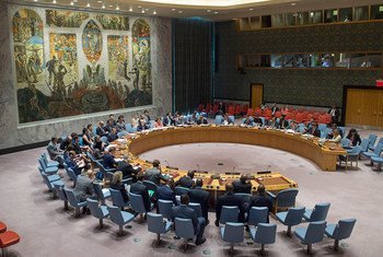 Security Council meeting on The situation concerning Haiti.