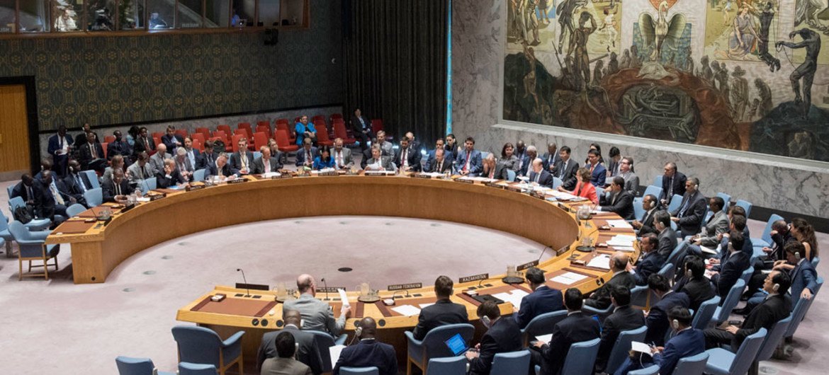 El Consejo de Seguridad de la ONU. Foto de archivo: ONU/Mark Garten