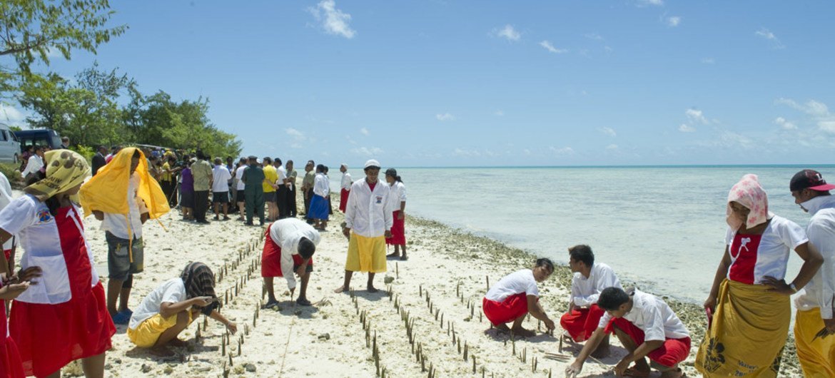 Des pousses de mangrove sont plantées sur Tarawa, un atoll de Kiribati, un État insulaire du Pacifique, pour protéger contre l'érosion. côtière.