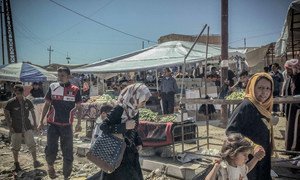 A market in east Mosul, Iraq. OCHA/Kate Pond