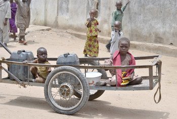 尼日利亚博尔诺州一名8岁的流离失所儿童及其5岁的弟弟。
