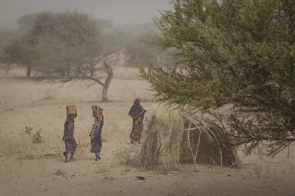 Un site de personnes déplacées à Mellia, au Tchad. Photo OCHA/Ivo Brandau