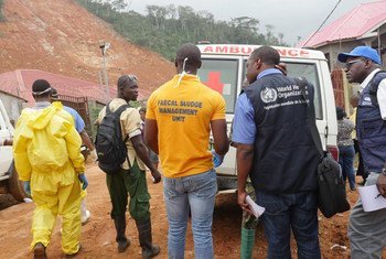 Des secouristes sur le lieu d'une coulée de boue à Freetown, en Sierra Leone. Photo OMS/S. Gborie