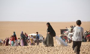 Displaced children and adults are seen after fleeing from ISIL-controlled areas in rural Raqqa, Syria, to Ain Issa, the main staging point for displaced families, some 50 Km north of Raqqa city.