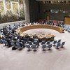 安理会在举行会议。联合国图片/Mark Garten