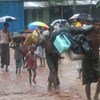 Sous la pluie et dans la boue, des réfugiés rohingyas arrivent au camp de Kutupalong au Bangladesh après des jours de marche à pied.