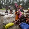 Refugiados Rohingya en Bangladesh. Foto: UNICEF-Brown