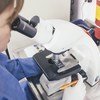 实验室工作人员在显微镜下检测感染情况。