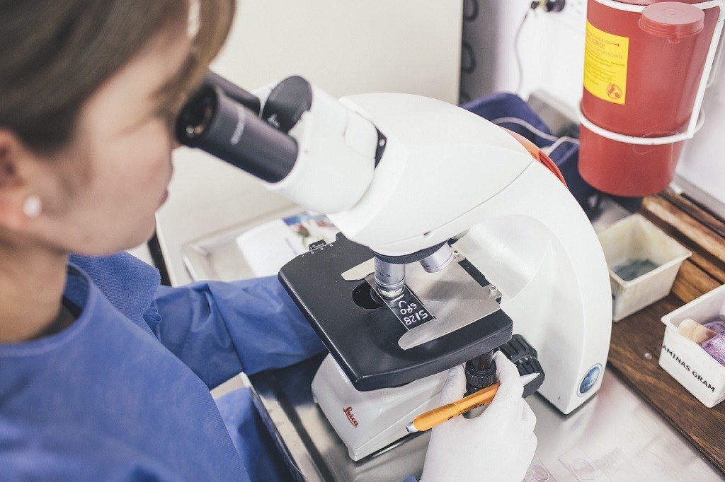 实验室工作人员在显微镜下检测感染情况。