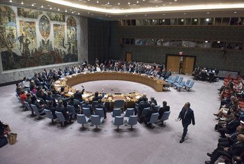 (من الأرشيف )مجلس الأمن الدولي - الصورة: الأمم المتحدة