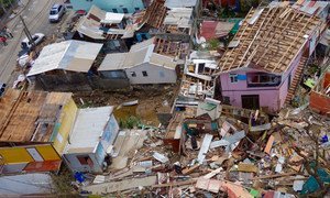 Destrucción causada por el huracán María en Dominica. Foto: IRIN/Ben PArker