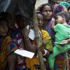 在孟加拉国避难的罗兴亚人。难民署图片/Roger Arnold