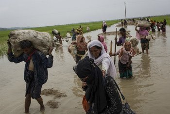 За месяц в Бангладеш прибыло 507 тысяч беженцев из Мьянмы Фото ЮНИСЕФ