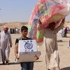 The International Organization for Migration (IOM) in close coordination with the Ministry of Migration and Displacement in Iraq is distributing non-food item kits to families in Al Habanyah displaced from west Anbar.